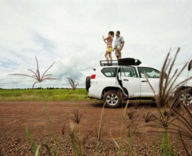 Nature's Way - Stayed 3