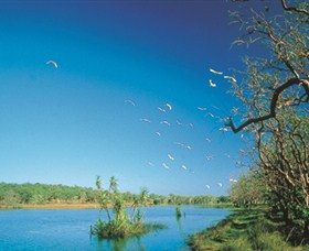 Nature's Way - Stayed 5