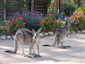 The Pioneer Settlement - Stayed 5