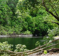 Broadwater Abergowrie State Forest - Stayed