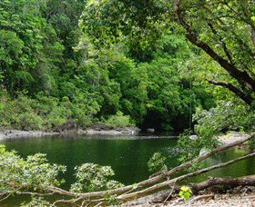 Broadwater, Abergowrie State Forest - Stayed 0