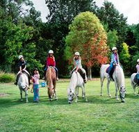 Limestone Coast Horseriding - Stayed