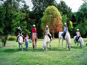 Limestone Coast Horseriding - Stayed 0