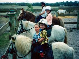 Limestone Coast Horseriding - Stayed 1