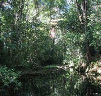 Wabunga Wayemba Charmillan Creek walking track - Stayed