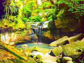 Carnarvon Gorge, Carnarvon National Park - Stayed 0