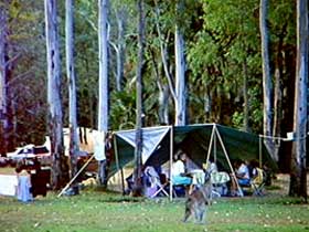 Carnarvon Gorge, Carnarvon National Park - Stayed 2