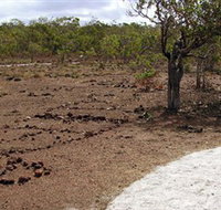 Wurrwurrwuy Garanhan Macassan Beach Interpretive Walk - Stayed