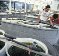 James Cook University of North Queensland - Stayed