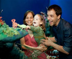 Museum Of Tropical Queensland - Stayed 2