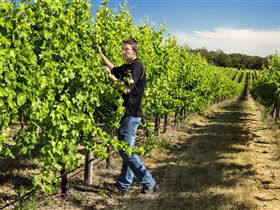 Patrick Of Coonawarra - Stayed 0