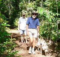 Wongabel State Forest - Stayed