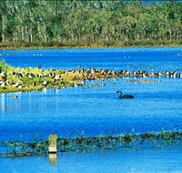 Hasties Swamp National Park - Stayed