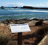 Cape Buffon Walking Trail - Stayed