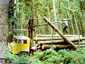 Nangwarry Forestry And Logging Museum - Stayed 3