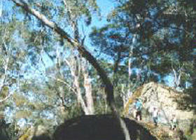 Dergholm State Park - Stayed 0