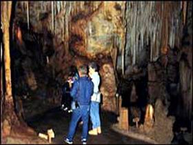 Tantanoola Caves Conservation Park - Stayed 0