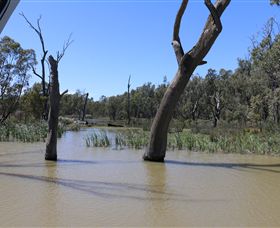 Wetlander Cruises - Stayed 4