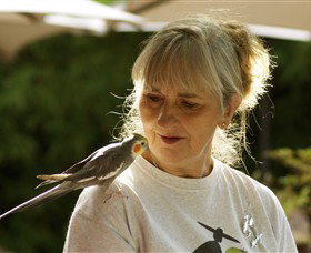 Simply Tomatoes - Stayed 0