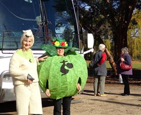 Simply Tomatoes - Stayed 6