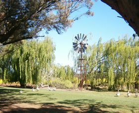 Simply Tomatoes - Stayed 7