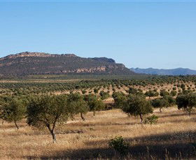 Grampians Olive Co. (Toscana Olives) - Stays Accommodation 1