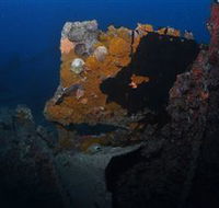 Lady Bowen Dive Site - Stays Accommodation