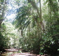 Mount Lewis National Park - Stayed