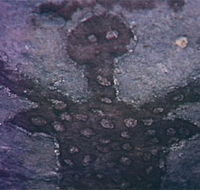 Quinkan Reserves Ancient Rock Art - Stayed