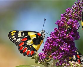 The Bible Museum - Stays Accommodation 3