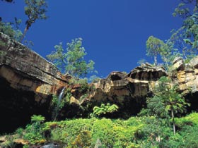 Blackdown Tableland National Park - Stayed 1