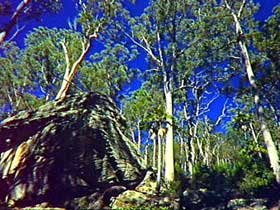 Blackdown Tableland National Park - Stayed 3
