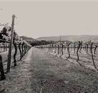 Halls Gap Estate - Stayed