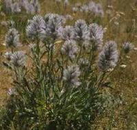 Terrick Terrick National Park - Stayed