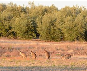 Yarrow Park - Stayed 4