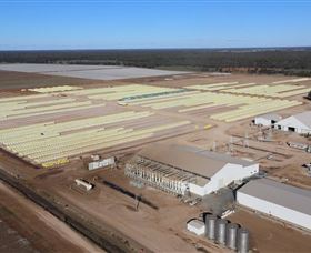 Merungle Hill NSW Stayed