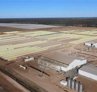 Southern Cotton Gin - Stayed