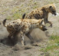 Altina Wildlife Park - Stayed