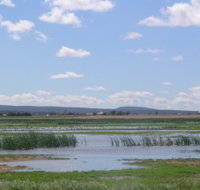 Fivebough Wetlands - Stayed