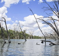 Murrumbidgee Valley National Park - Stayed