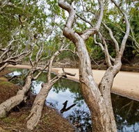 Oyala Thumotang National Park CYPAL - Stayed