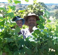 Wimmera Hills Winery - Stayed