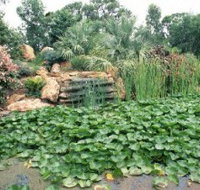 Mackenzie Park - Stayed