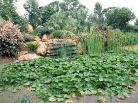 Mackenzie Park - Stays Accommodation 0