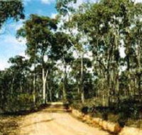 Paddys Ranges State Park - Stayed