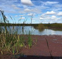 Gwydir Wetlands - Stayed