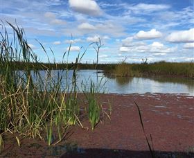 Gwydir Wetlands - Stayed 0
