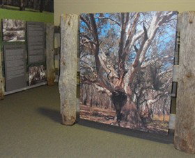 Barmah Forest Heritage And Education Centre - Stayed 2