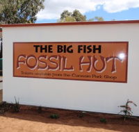 Big Fish Fossil Hut at Peak Hill - Stayed