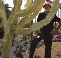 Cactus Country - Stayed